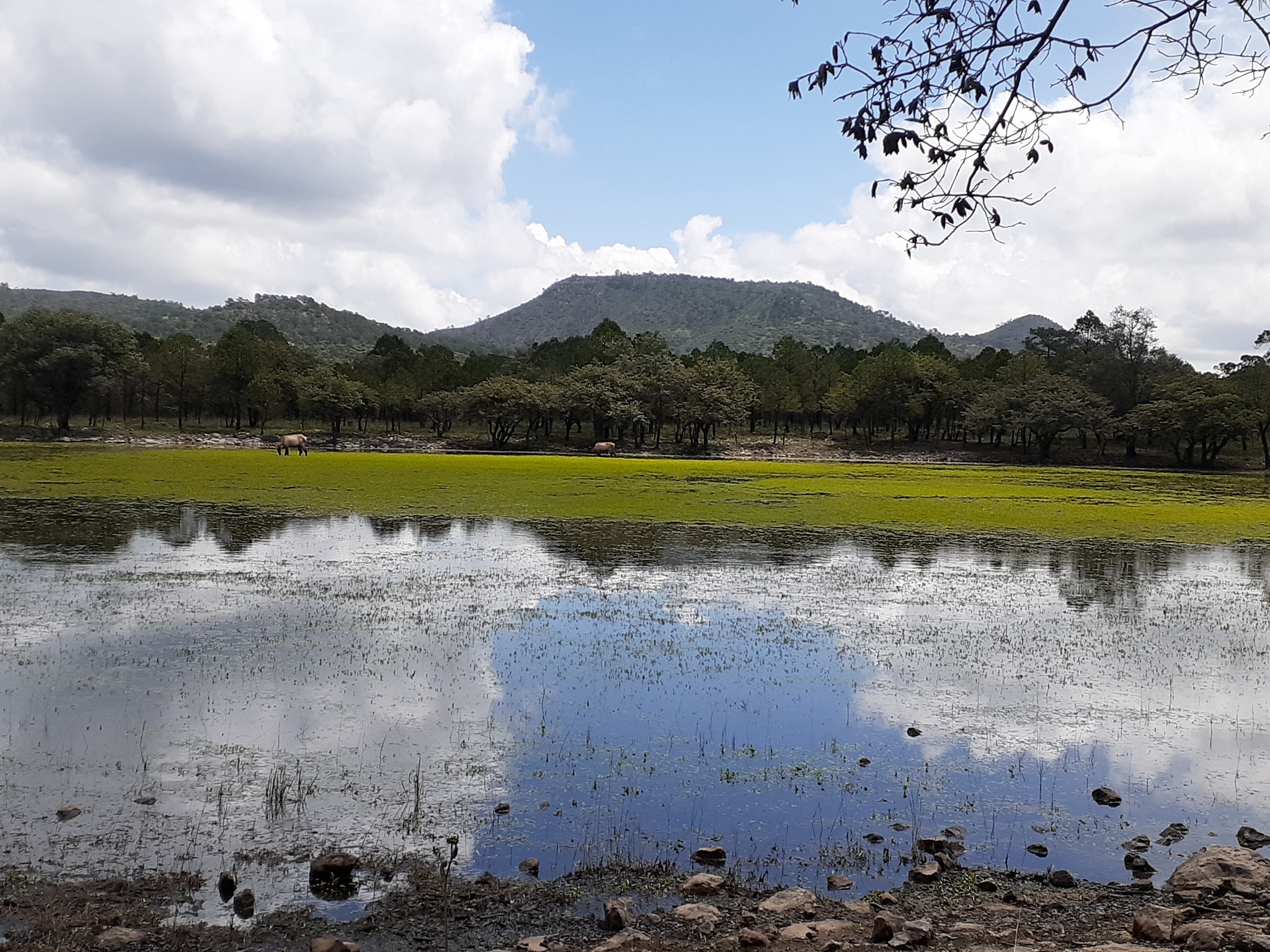 Imagen destacada de Rancho Turístico La Muralla