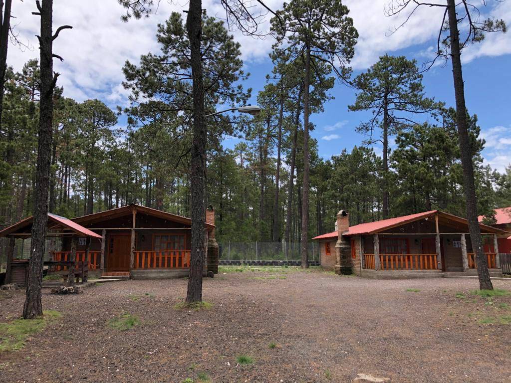 Imagen destacada de Cabañas del Lago