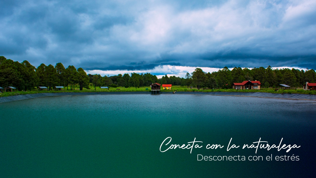 Imagen destacada de Eco Parque Providencia