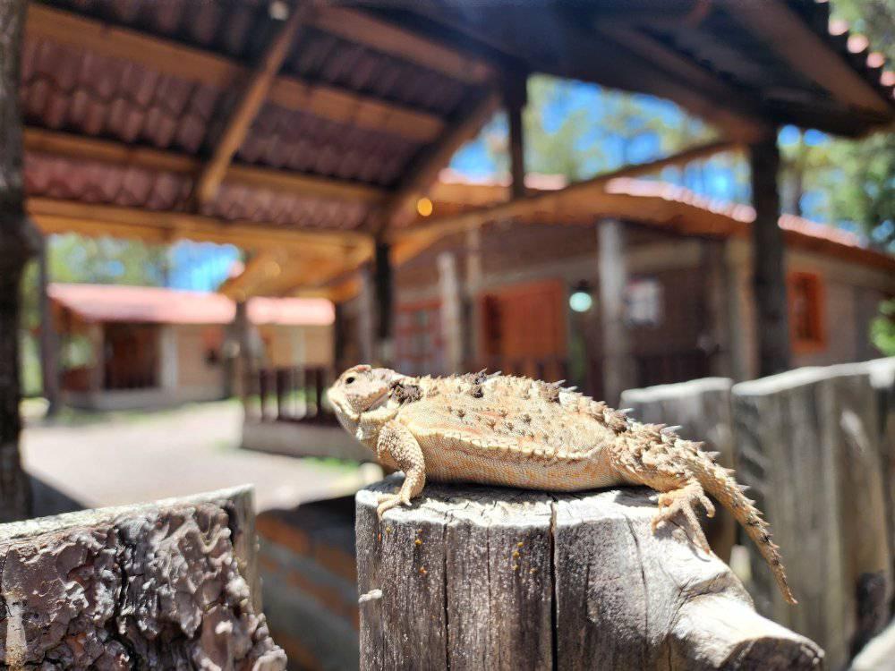 Imagen de Cabañas del Lago