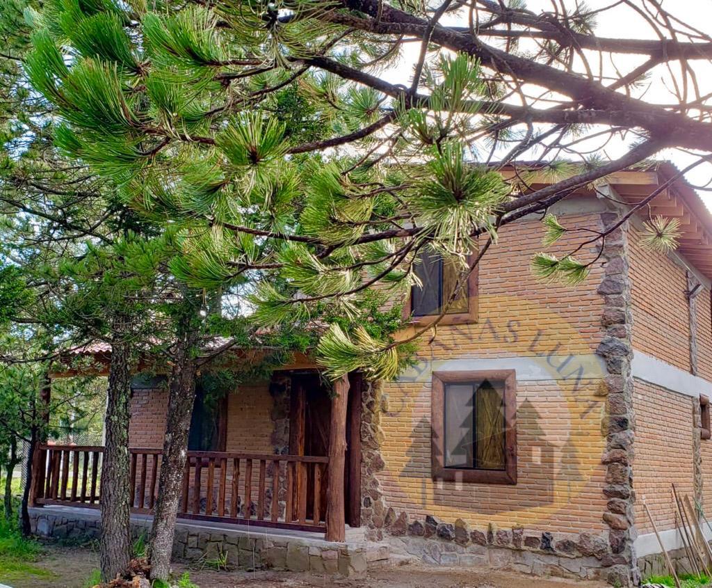 Imagen destacada de Cabañas Luna