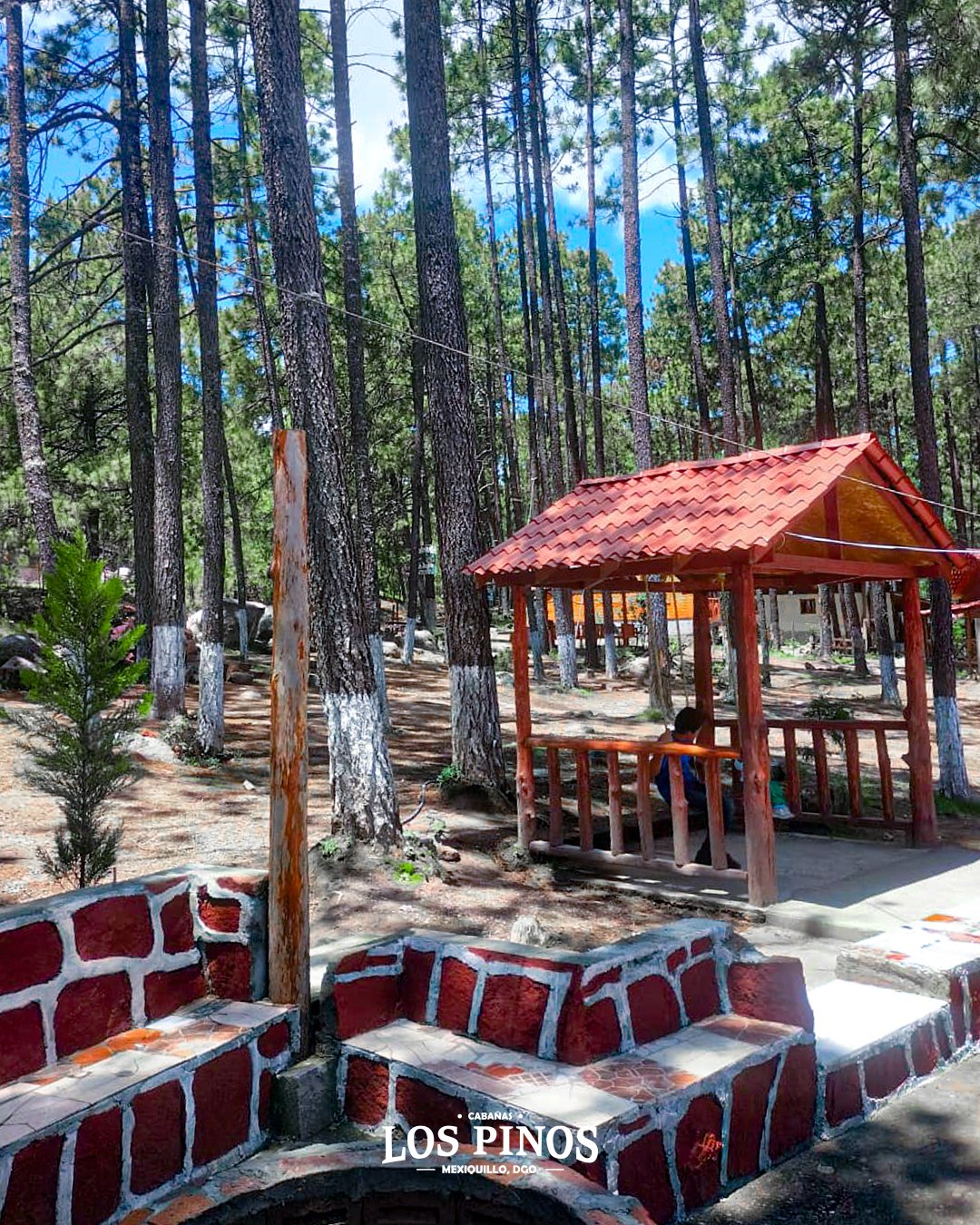 Imagen destacada de Cabañas Los Pinos