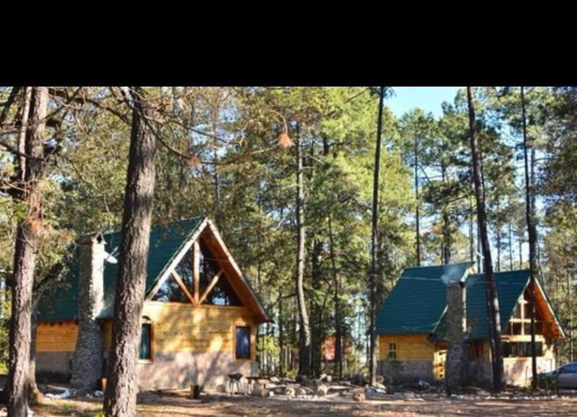 Imagen destacada de Cabaña el bosque