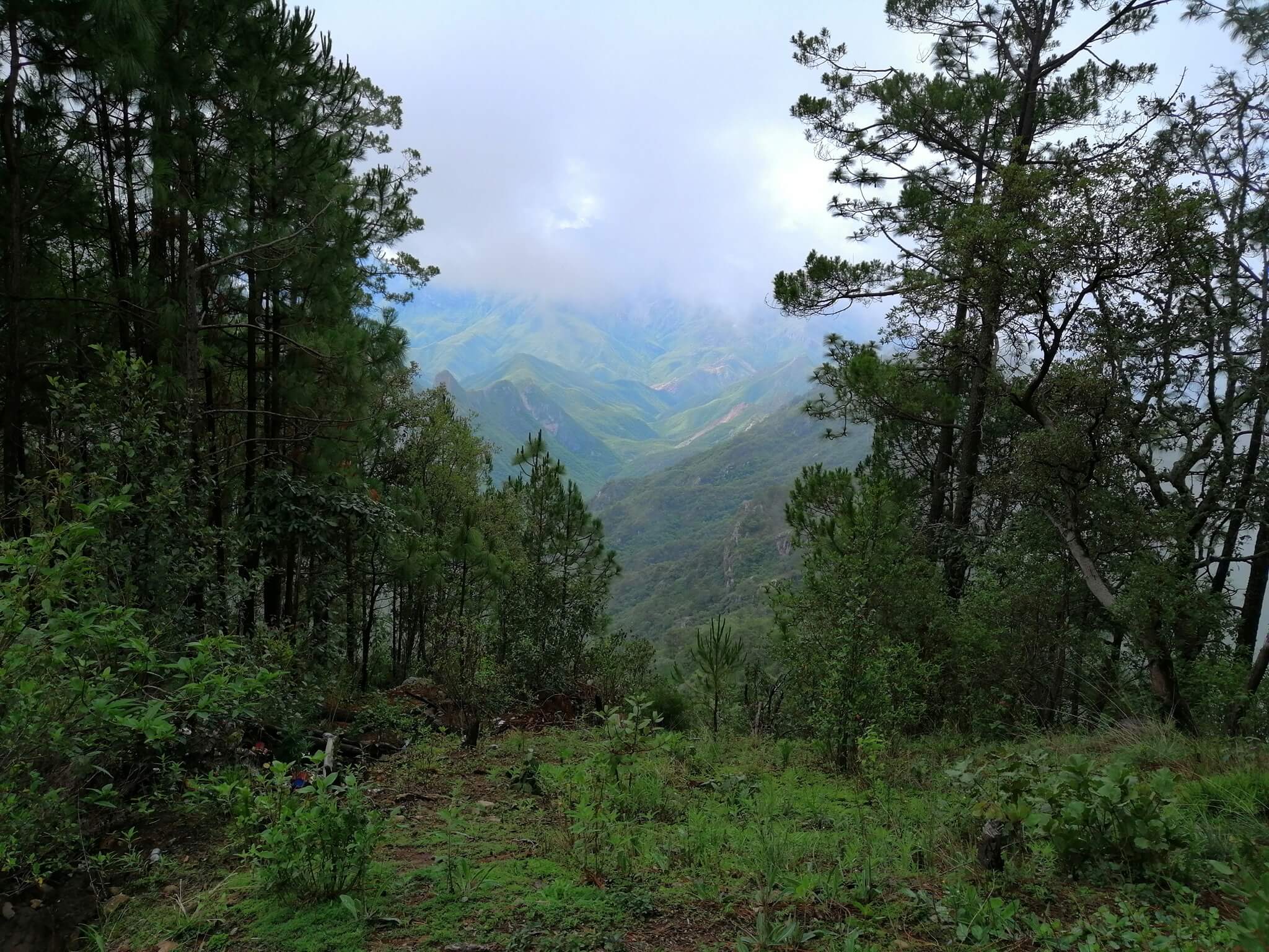 Imagen destacada de Ejido Buenavista