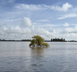 Presa Peña Del Águila