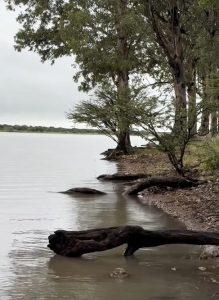 Presa Peña Del Águila