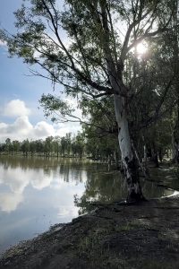 Presa Peña Del Águila