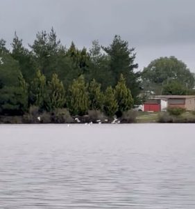 Presa Peña Del Águila