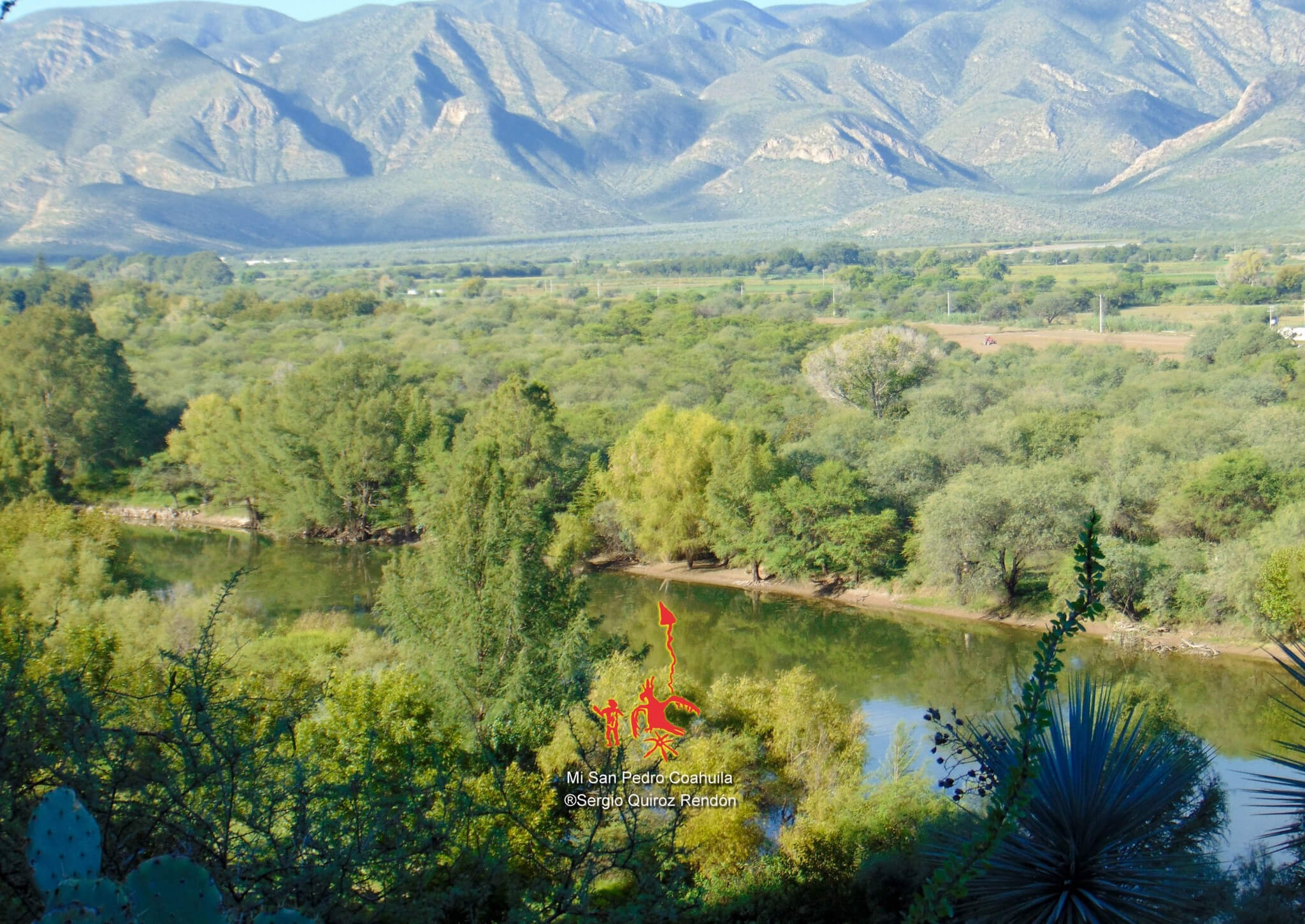 Imagen destacada de Sapioris