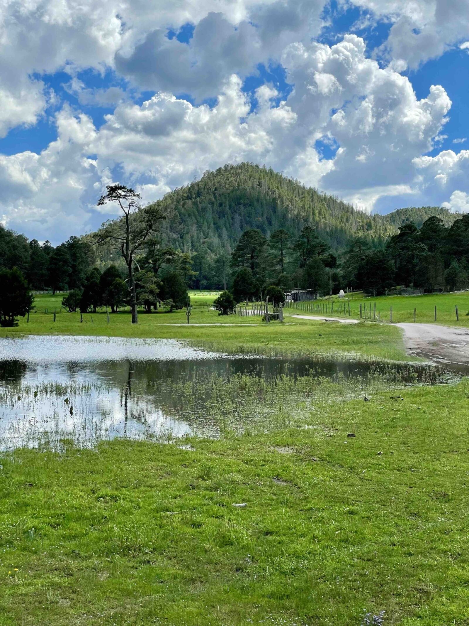 Imagen destacada de Cerro Prieto