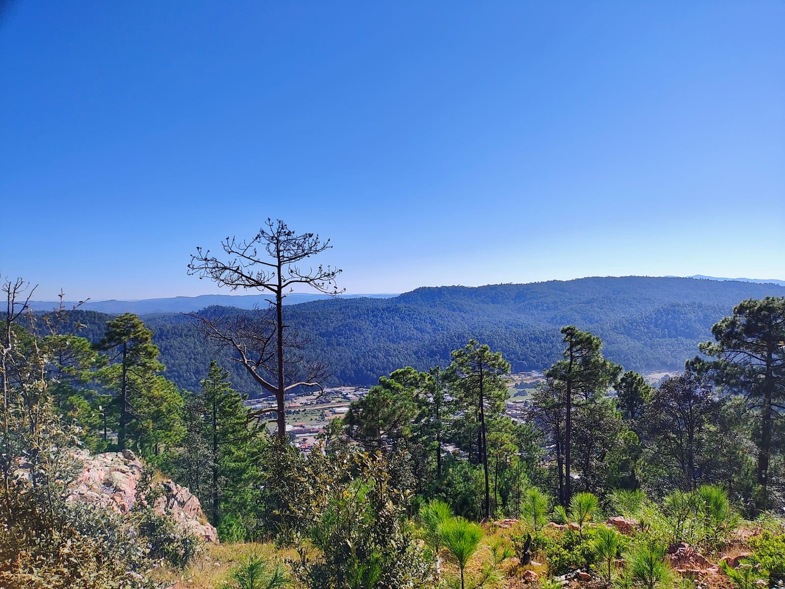 Imagen destacada de Ciénega de Nuestra Señora de Guadalupe