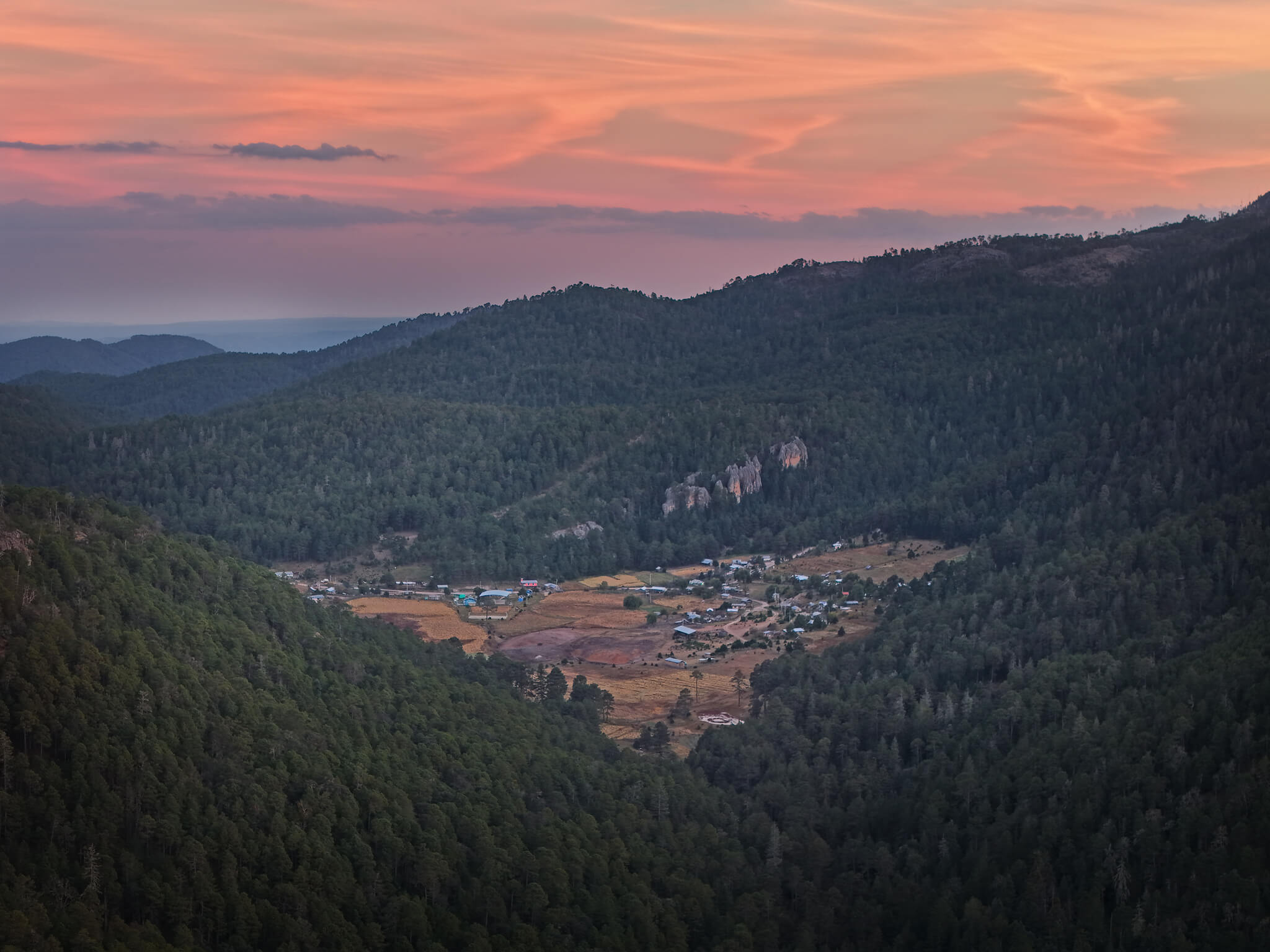 Imagen destacada de Huachichiles