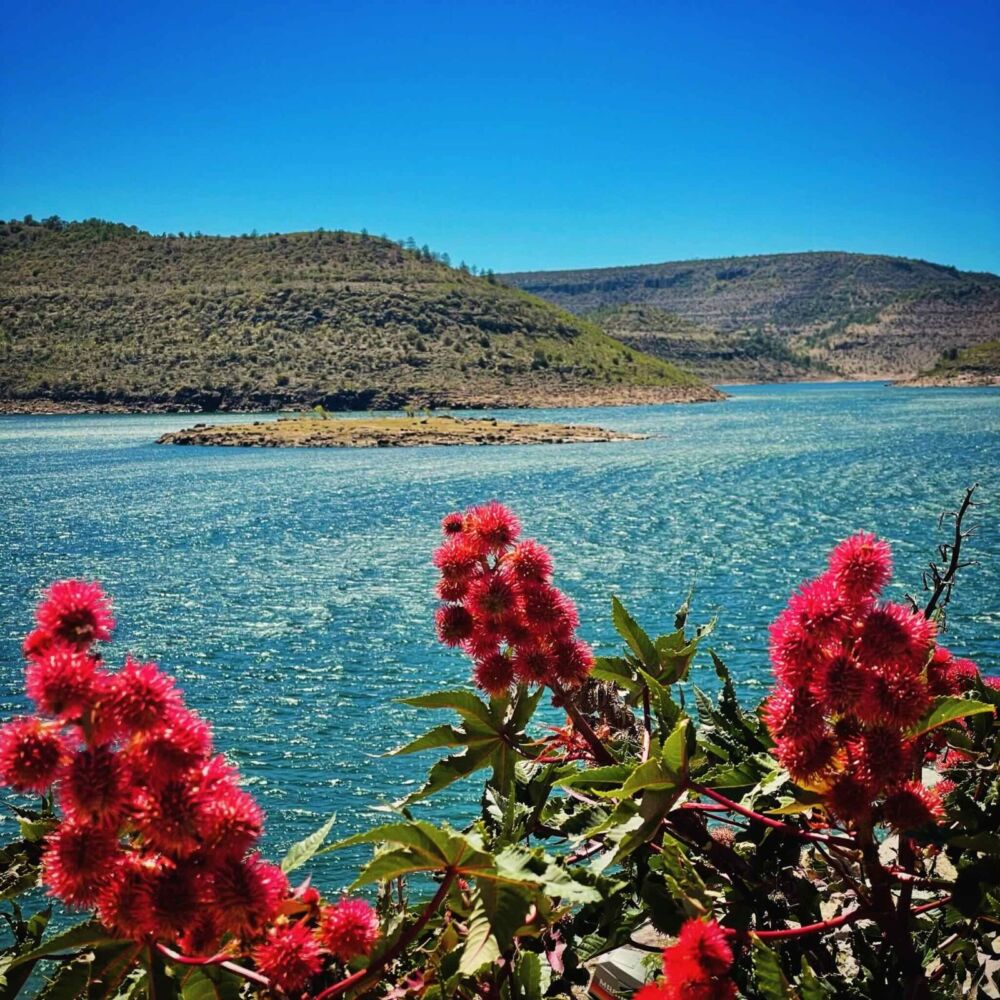 Presa Santiago Bayacora