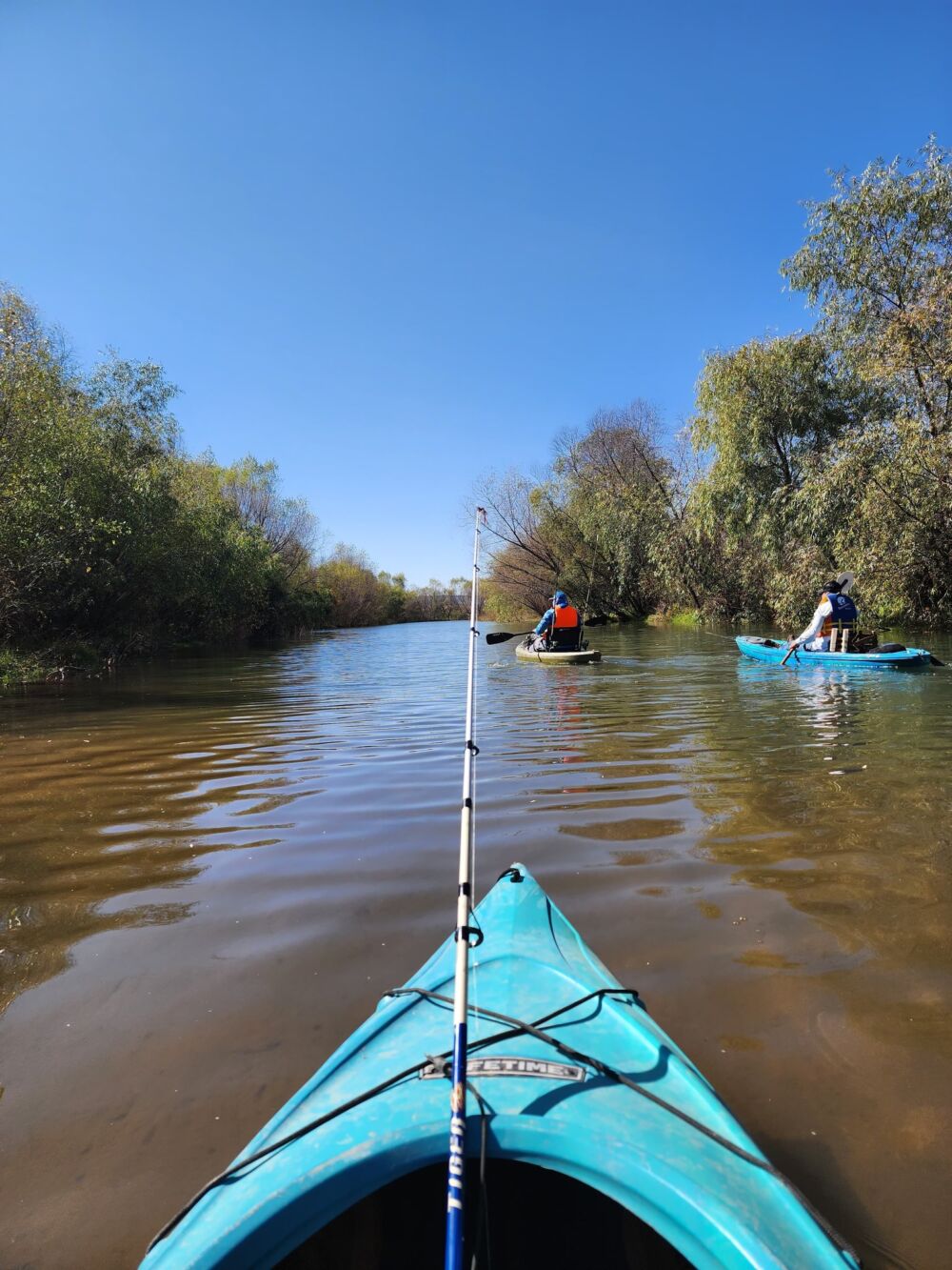 Presa Francisco Villa