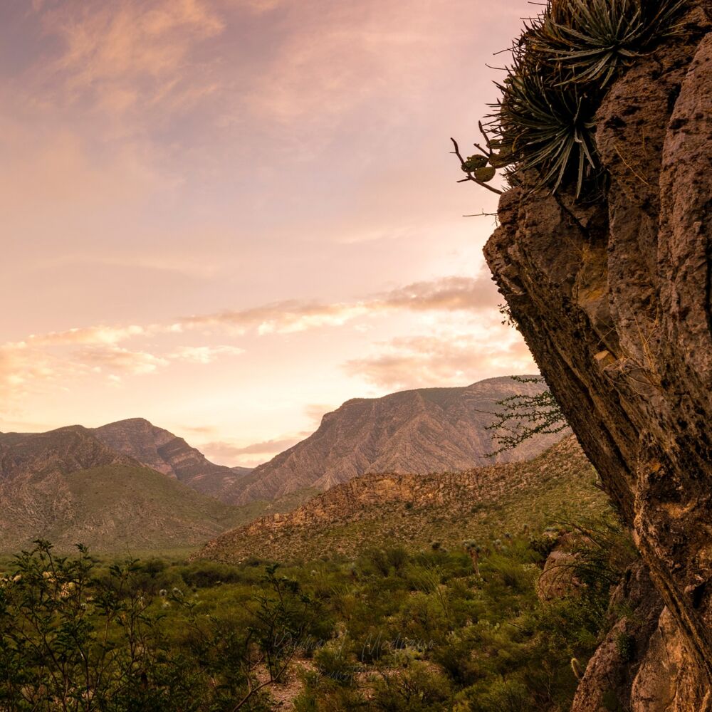 Imagen destacada de Santo NIño