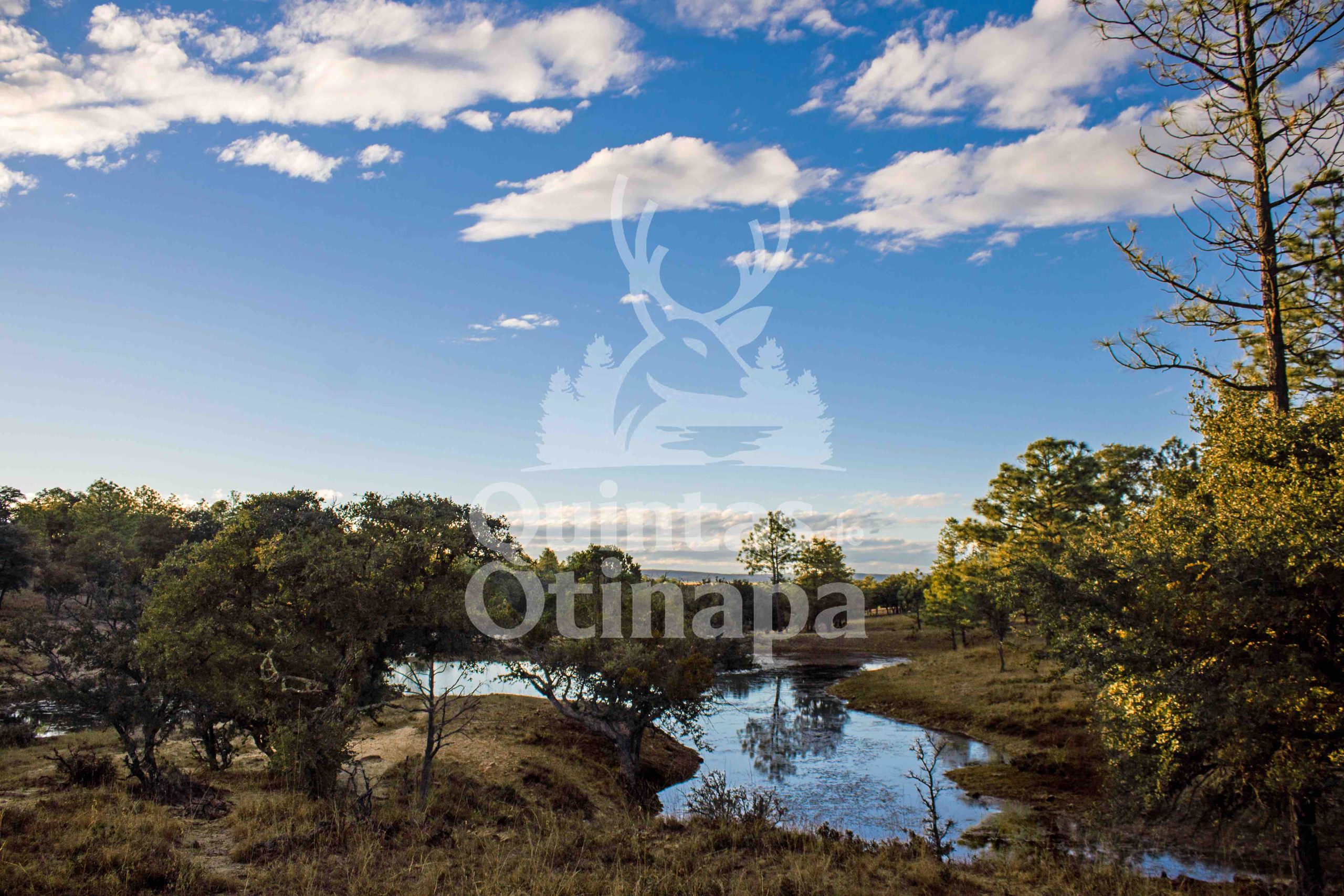 Imagen destacada de Quintas de Otinapa