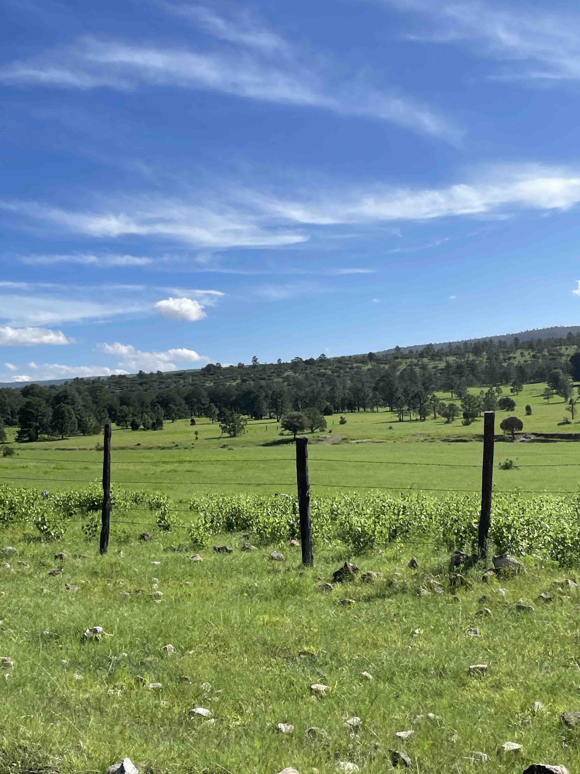 Imagen destacada de Sierra de Otinapa