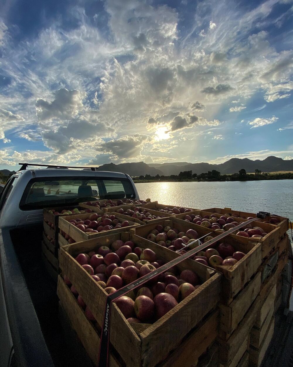 Zona de manzana dulce