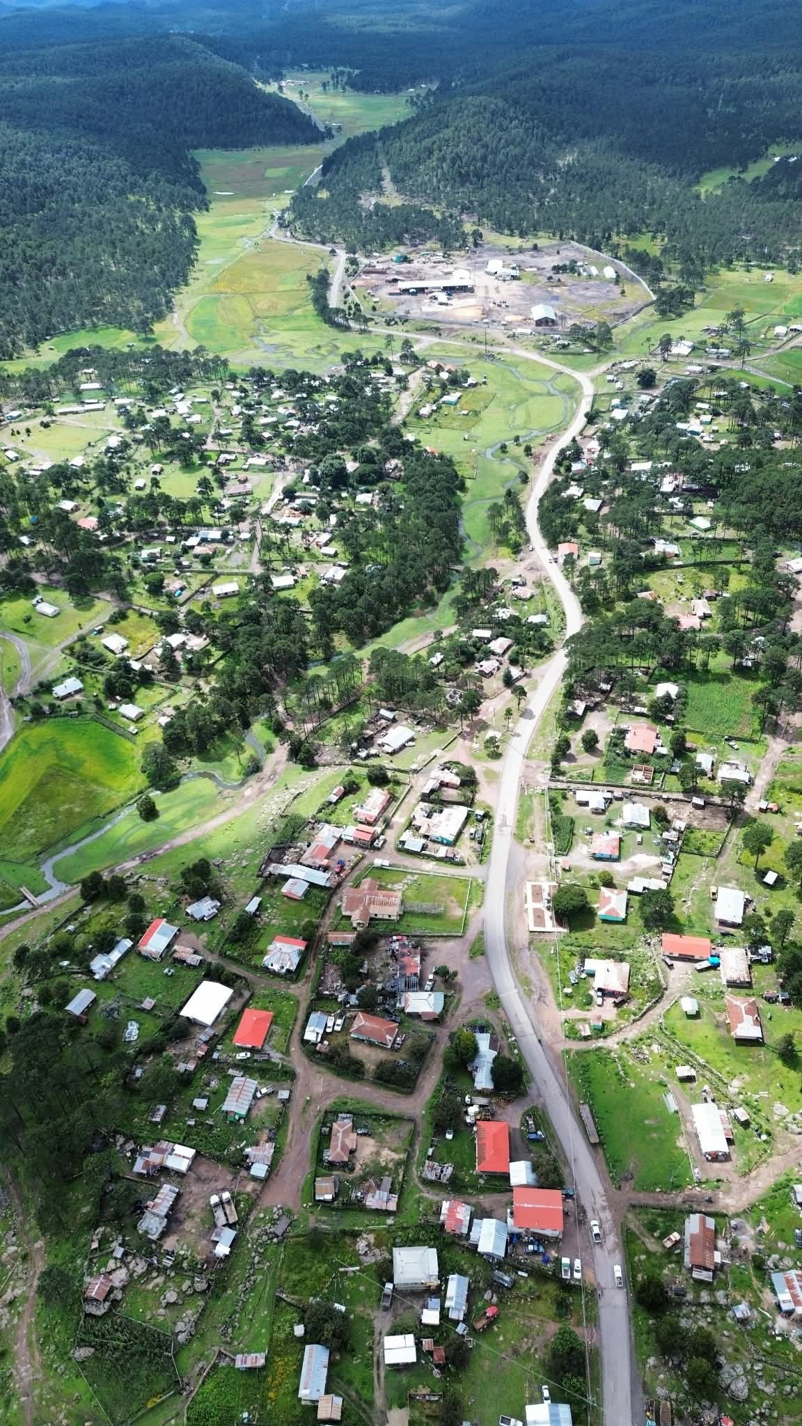 Imagen destacada de San Jerónimo