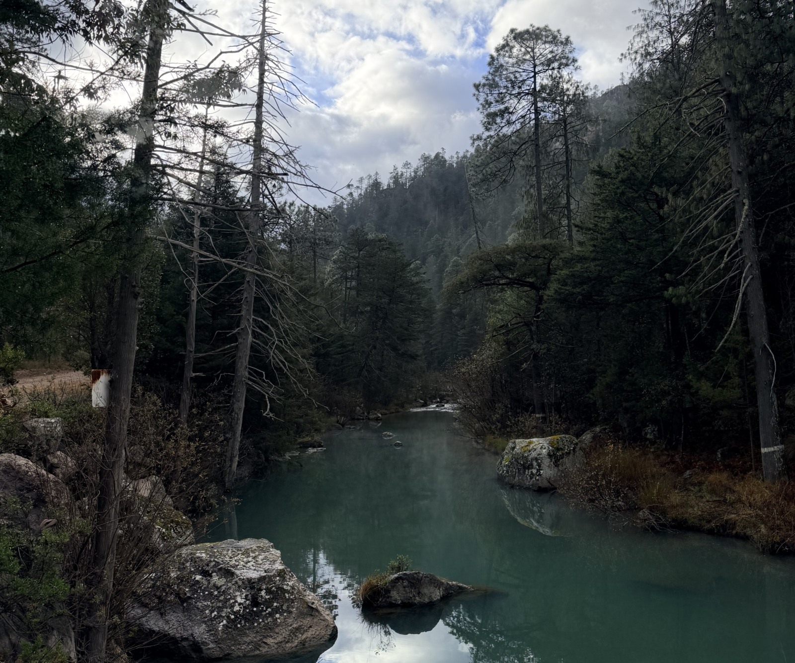 Imagen destacada de Los Altares