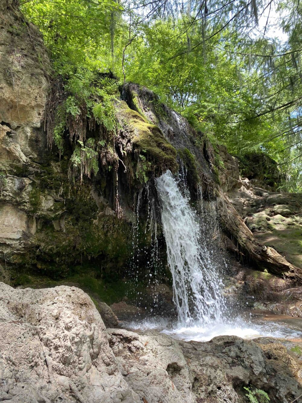 Barranca de San Quintin