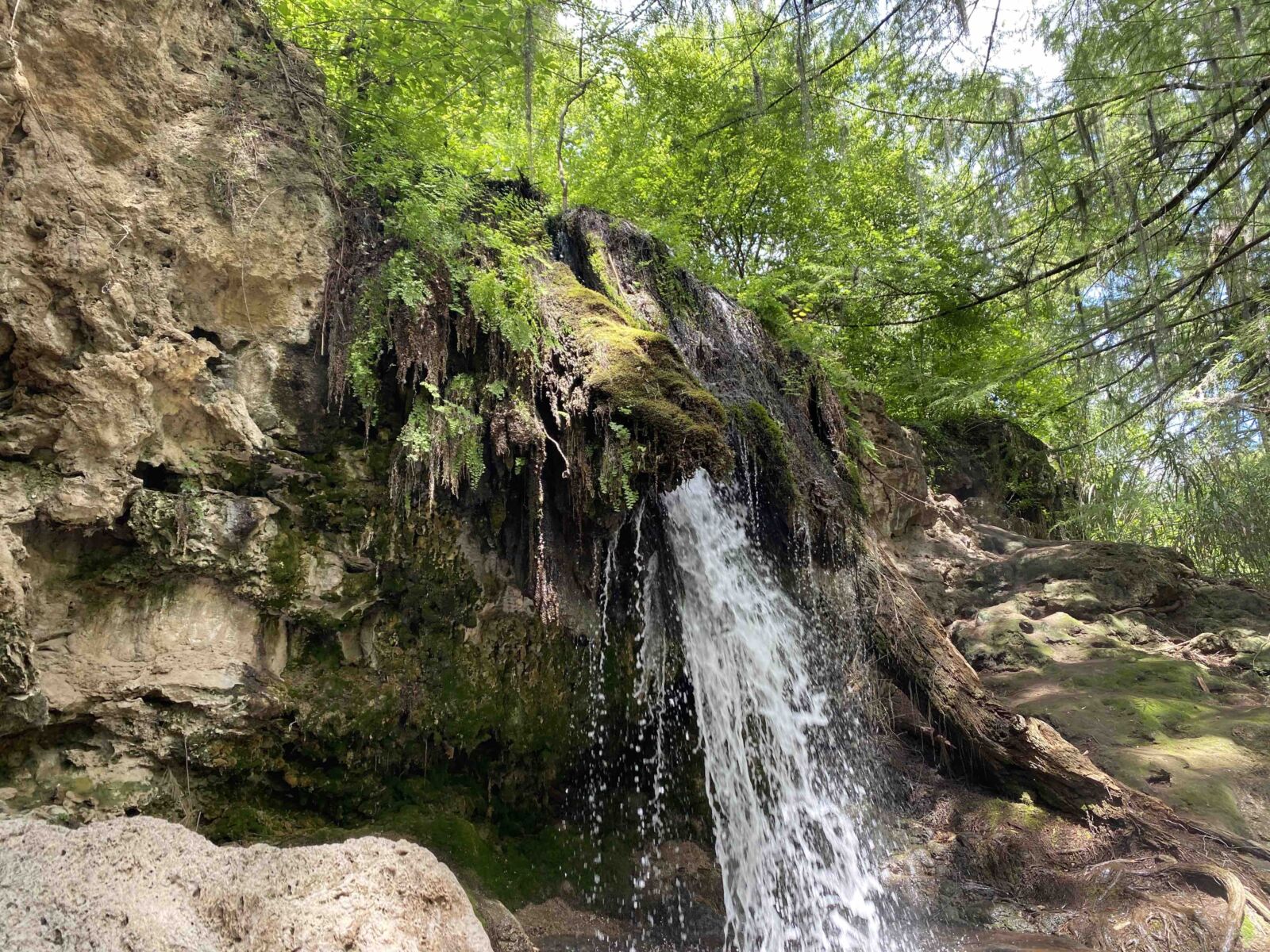 Barranca de San Quintin