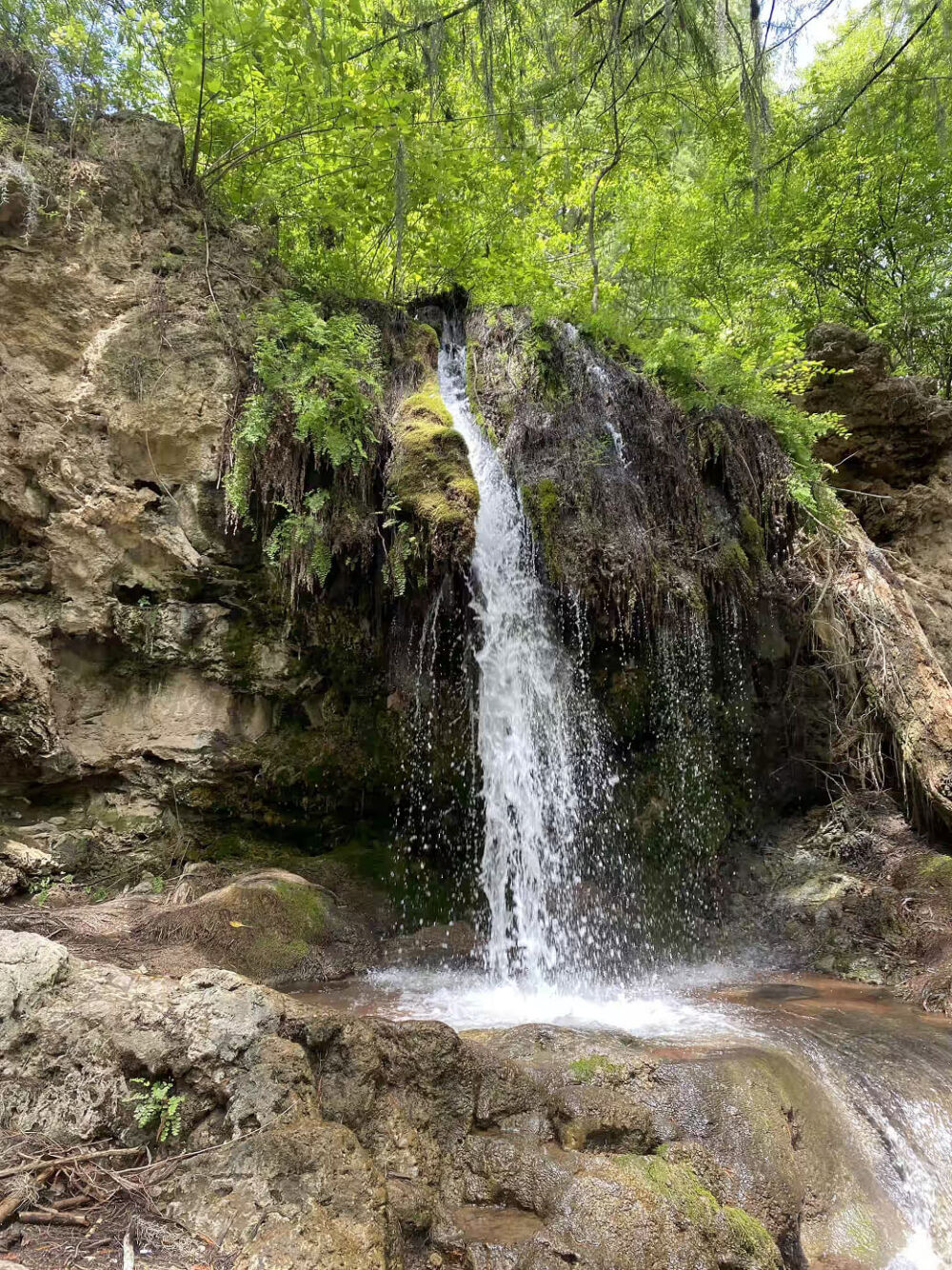 Barranca de San Quintin