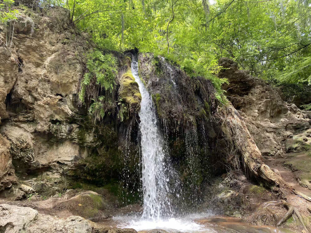 Barranca de San Quintin