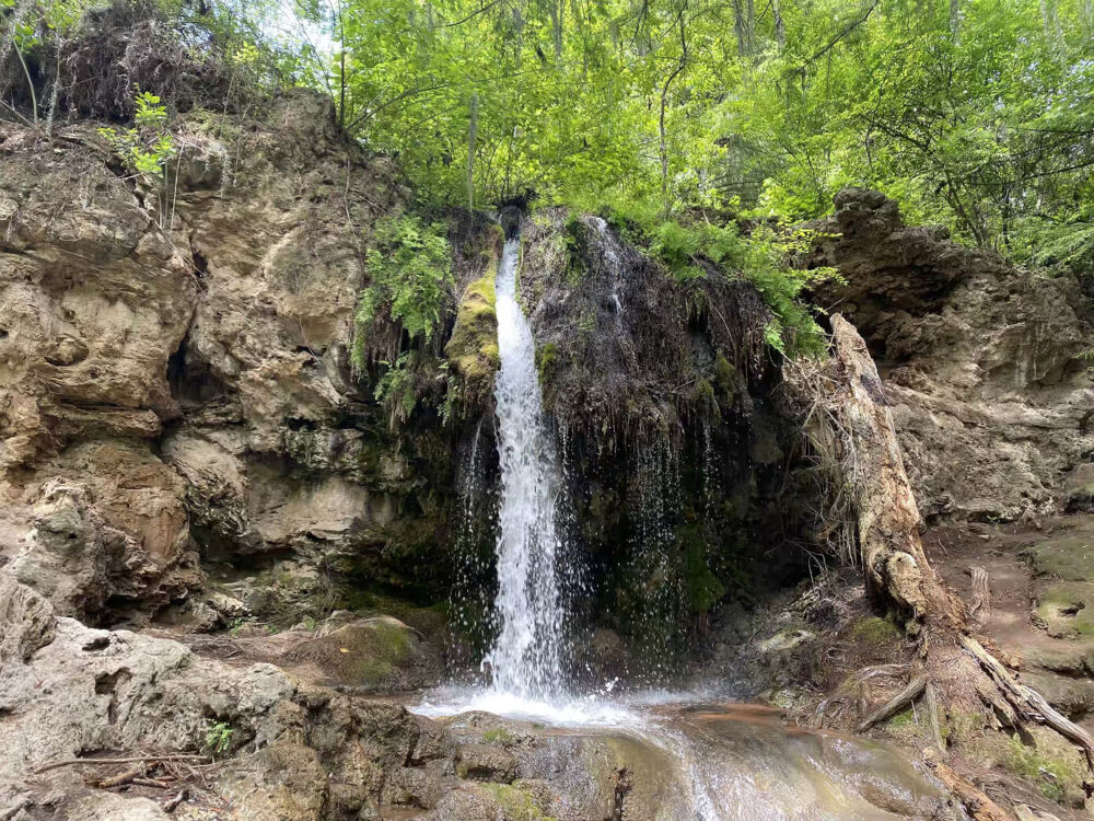 Barranca de San Quintin