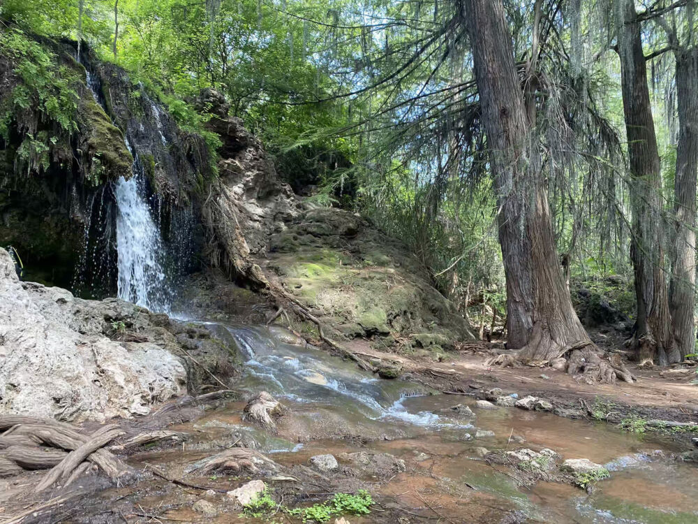 Barranca de San Quintin