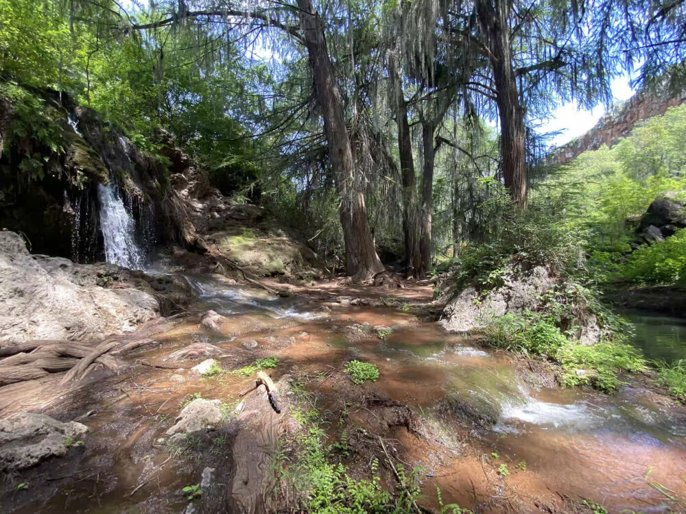 Barranca de San Quintin
