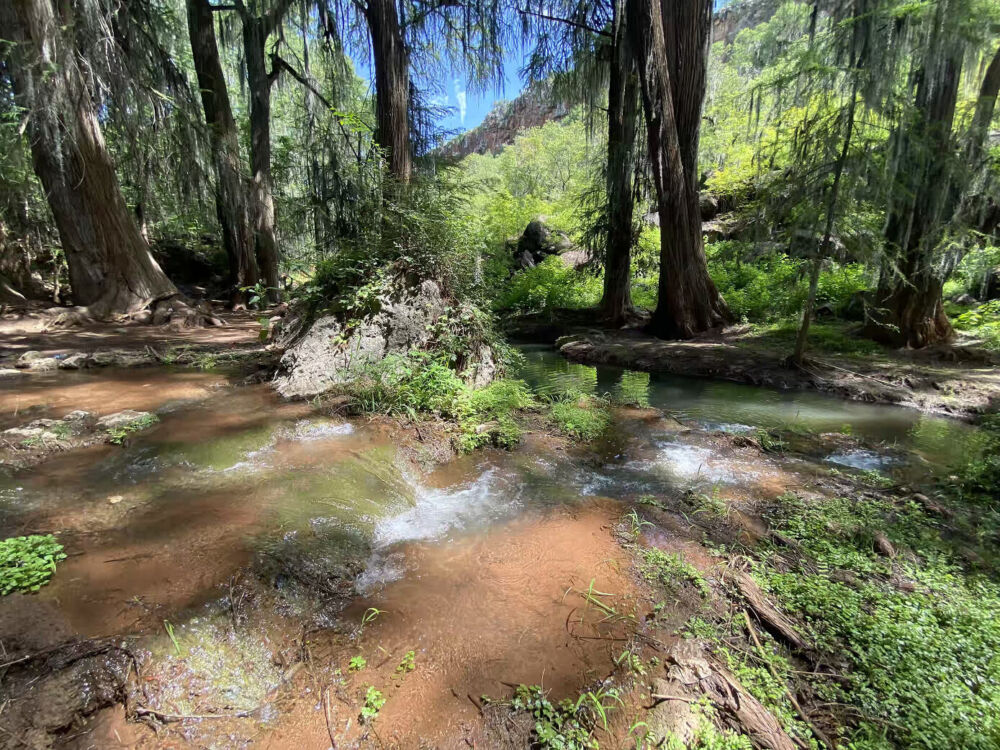 Barranca de San Quintin