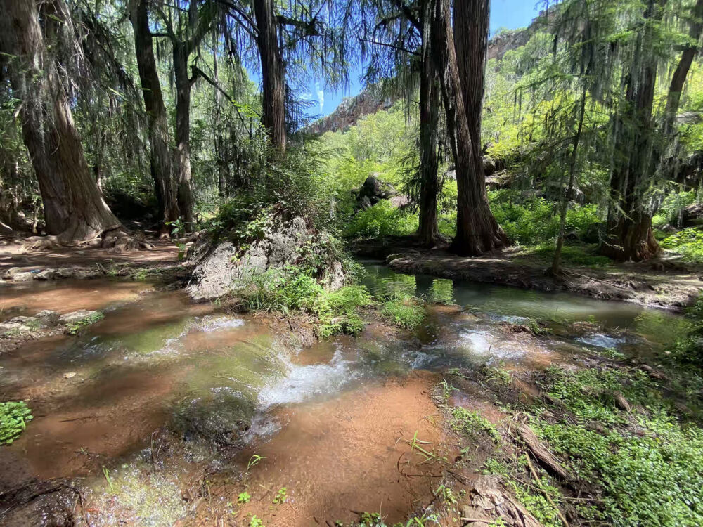 Barranca de San Quintin