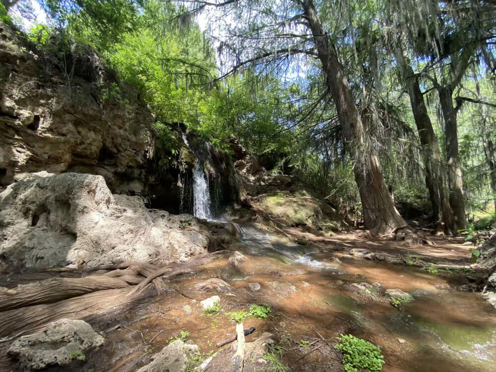 Barranca de San Quintin