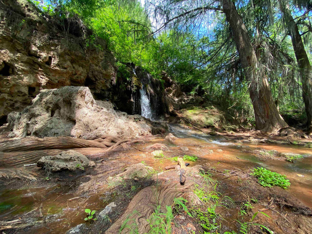Barranca de San Quintin