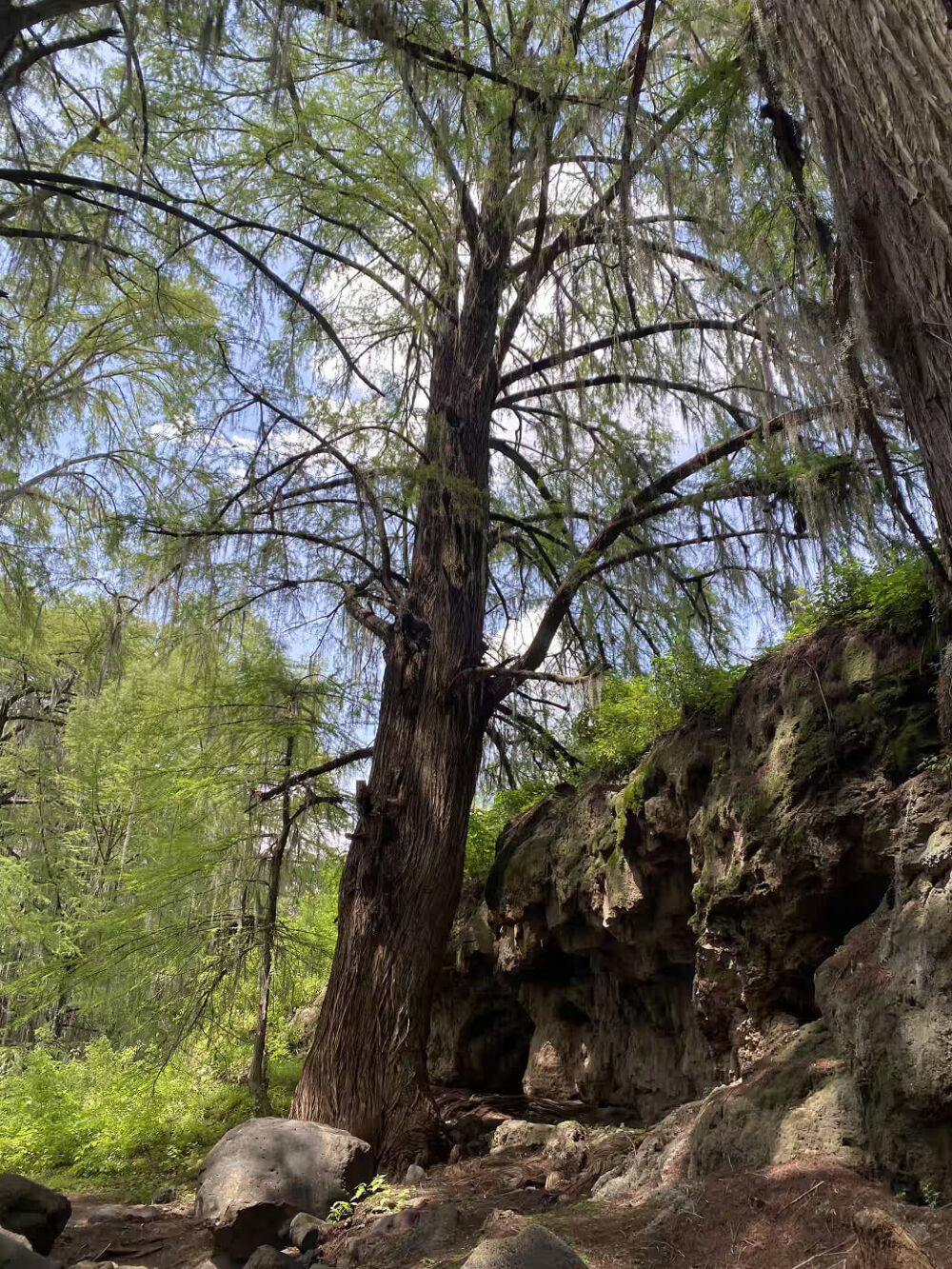 Barranca de San Quintin