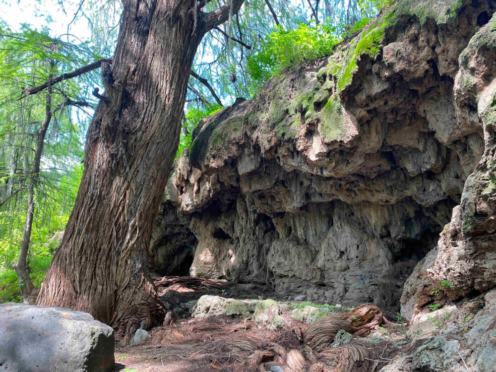 Barranca de San Quintin
