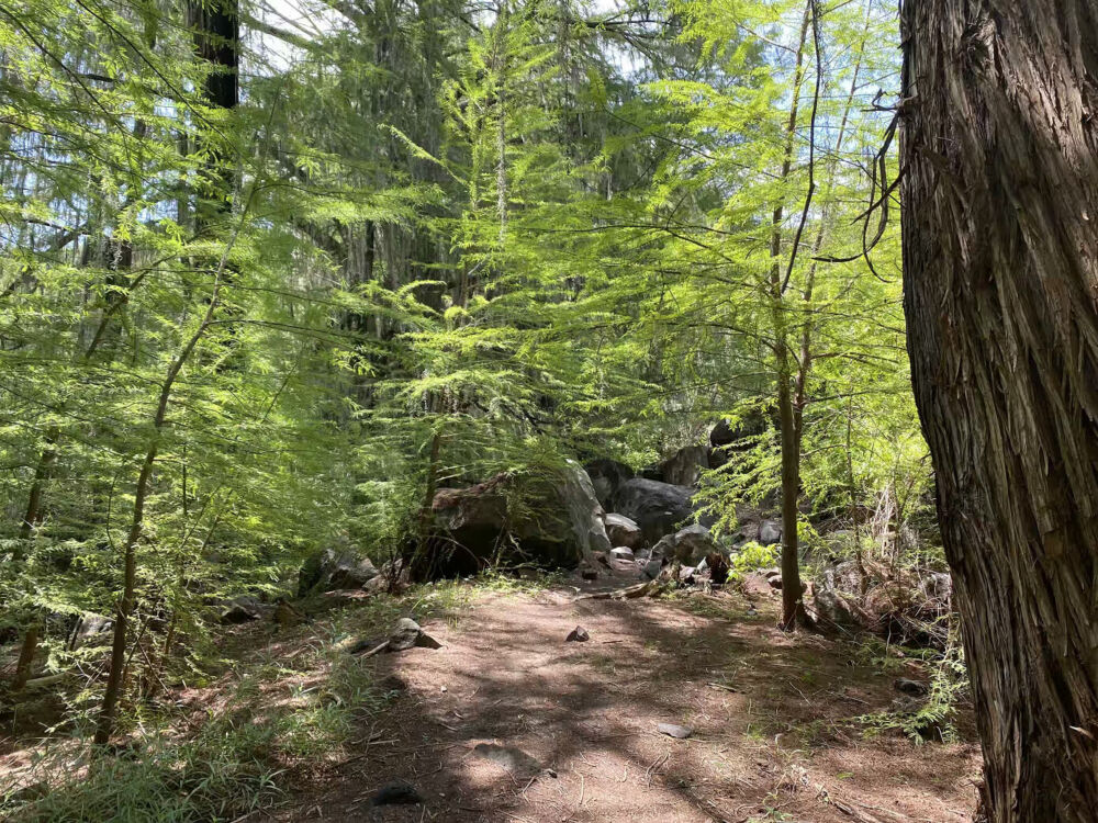 Barranca de San Quintin