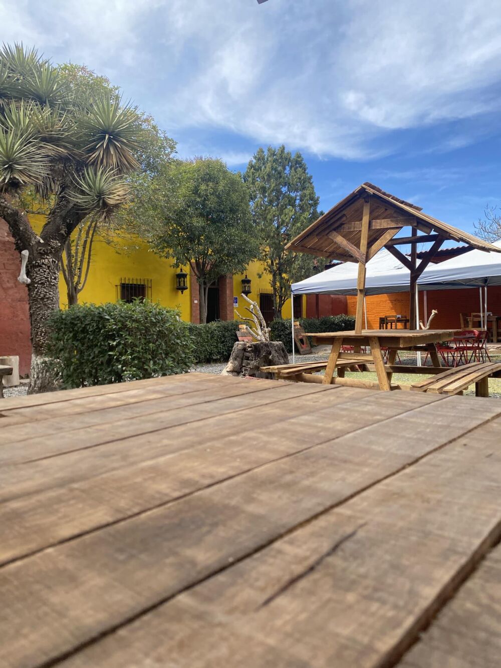 Buffalo West Restaurant 