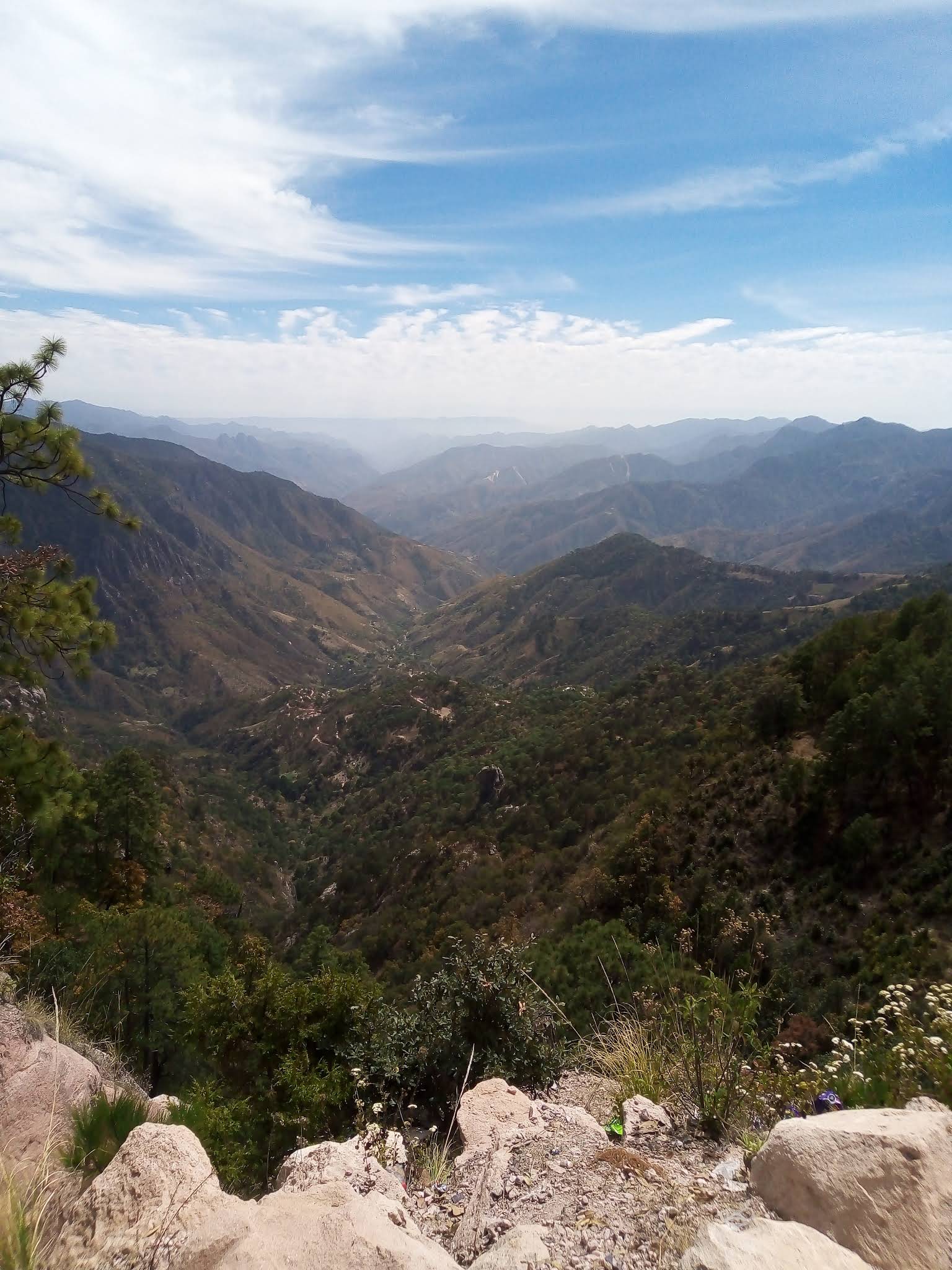 Imagen destacada de Corralitos [De Pueblo Nuevo]