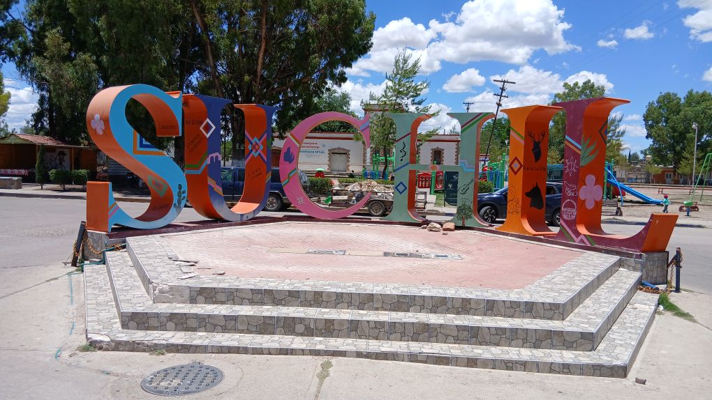 Imagen destacada de Súchil