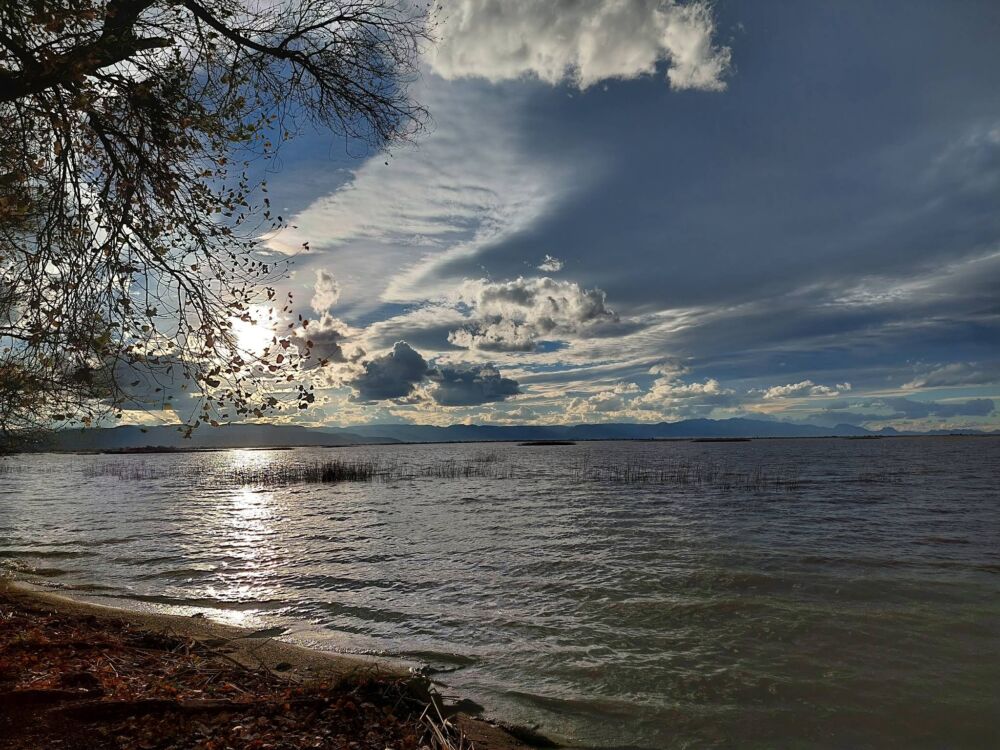 Laguna de Santiaguillo