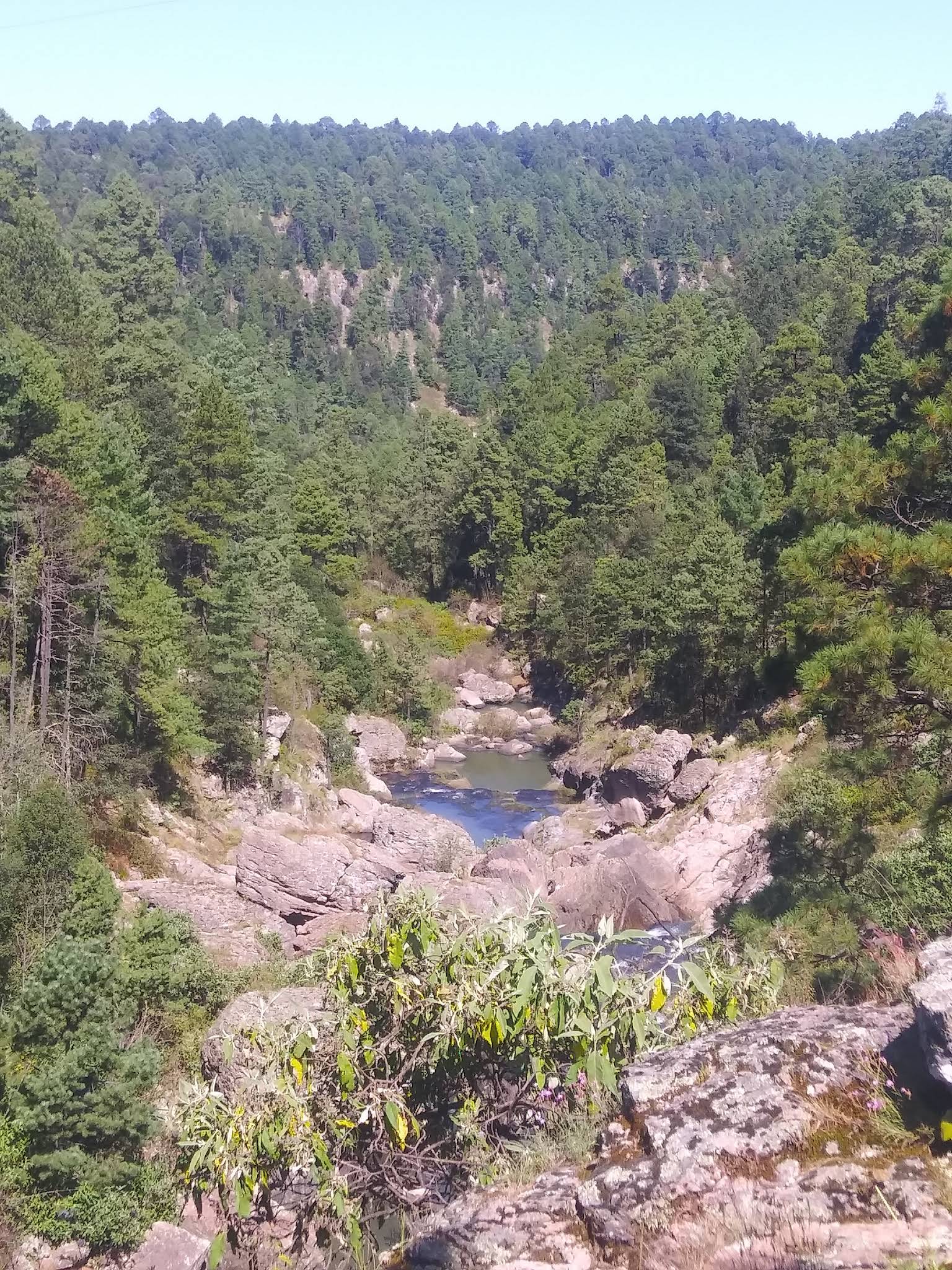 Imagen destacada de El Mil Diez