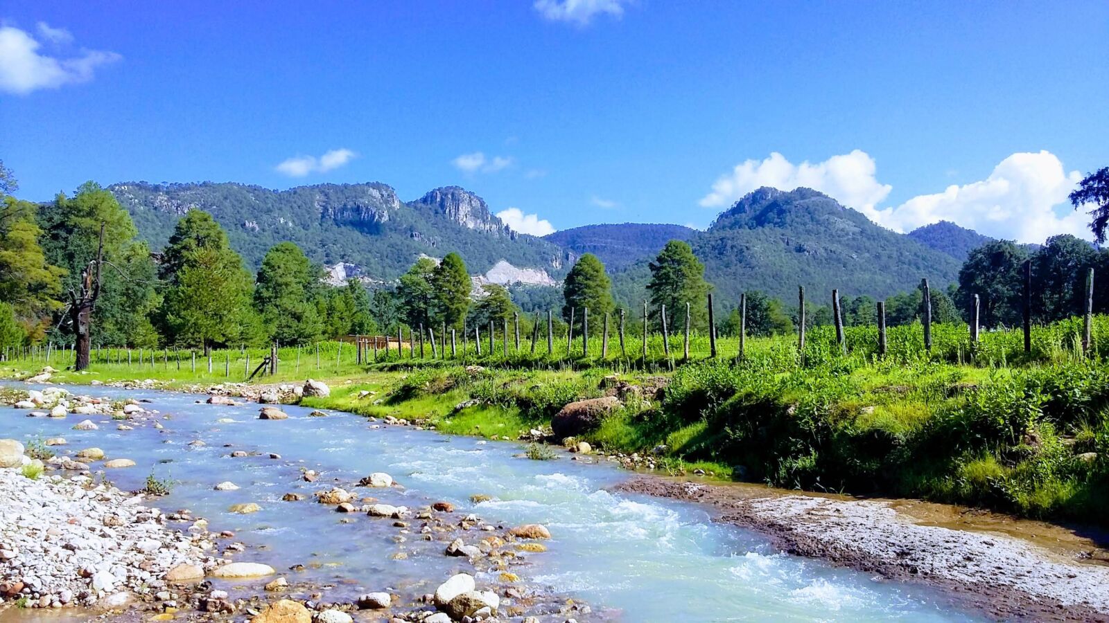 Imagen destacada de Chavarria Nuevo