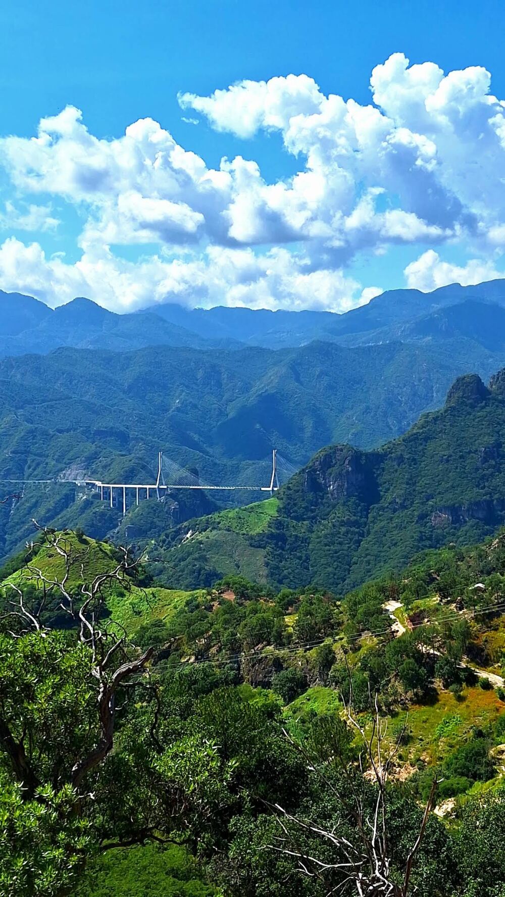 Puente Baluarte Bicentenario