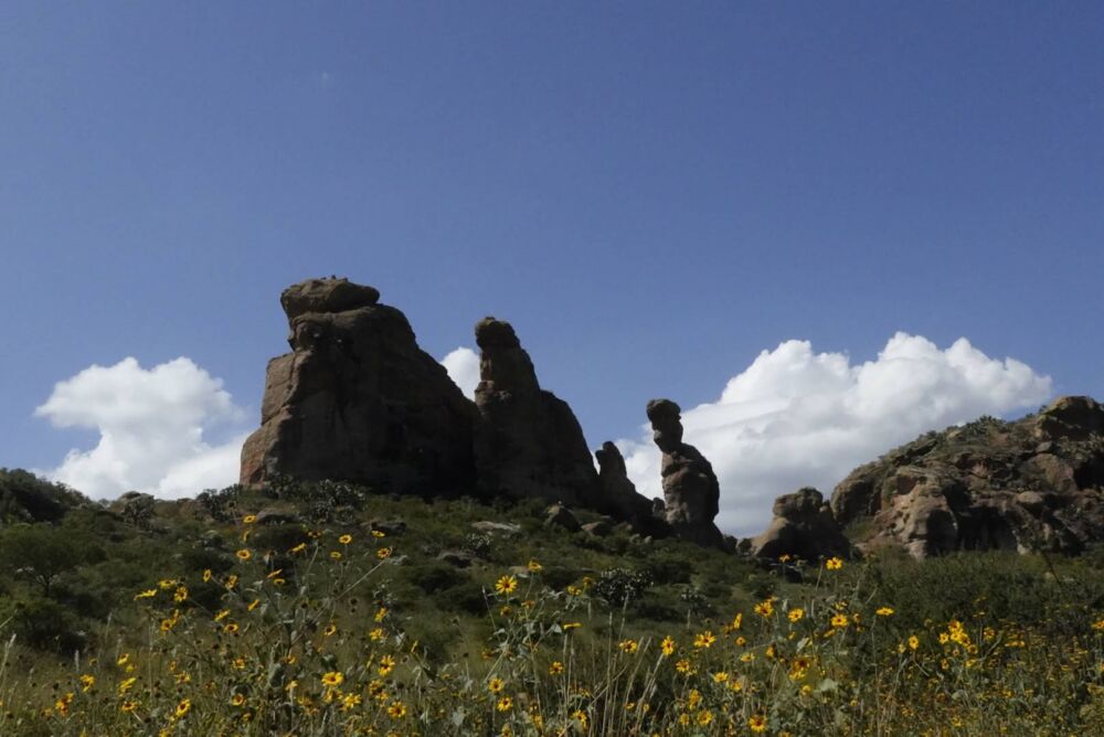 Las grutas de Flores Magón