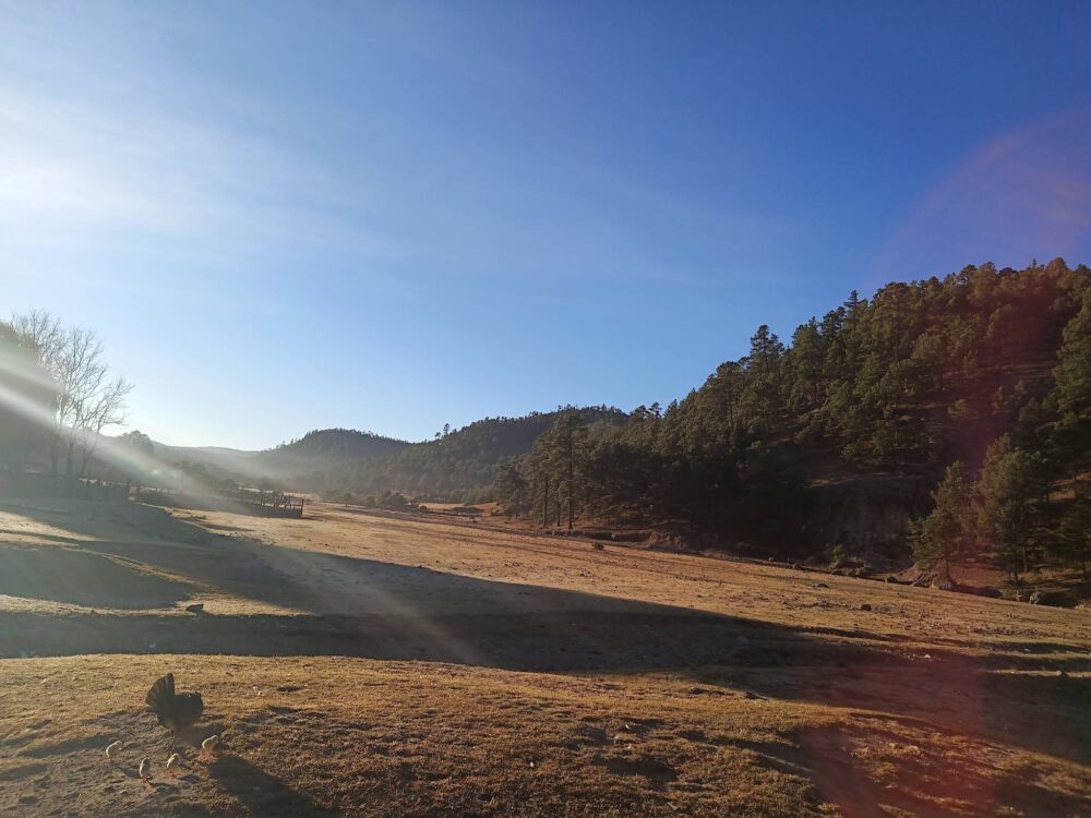 Paisaje de la Sierra Madre en la Plazuela (El Rayo)