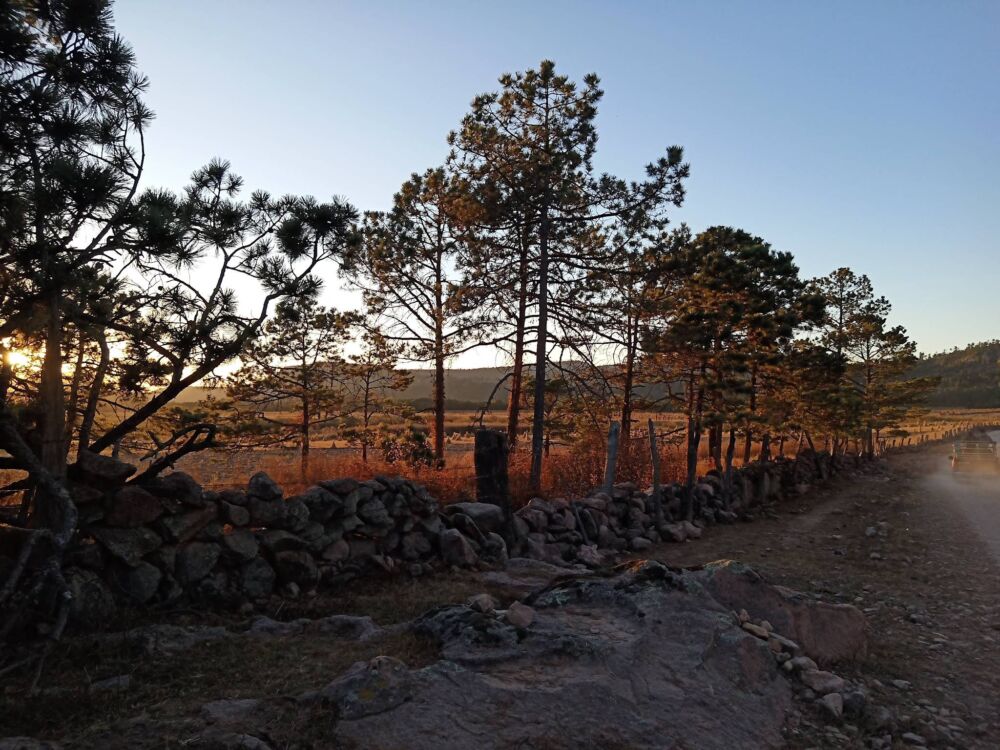 Paisaje de la Sierra Madre en la Plazuela (El Rayo)