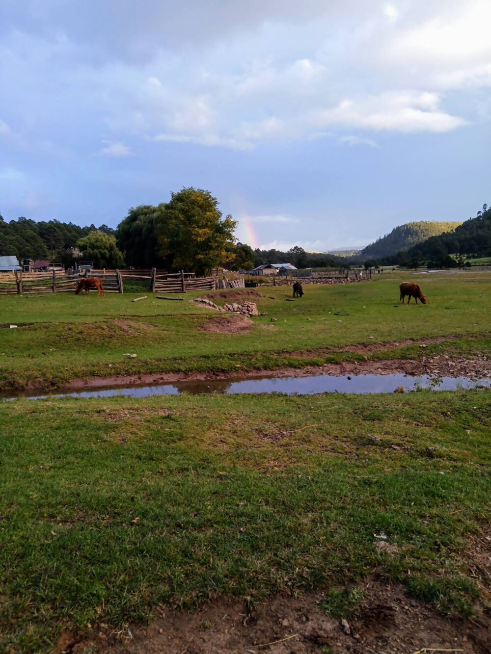 Paisaje de la Sierra Madre en la Plazuela (El Rayo)