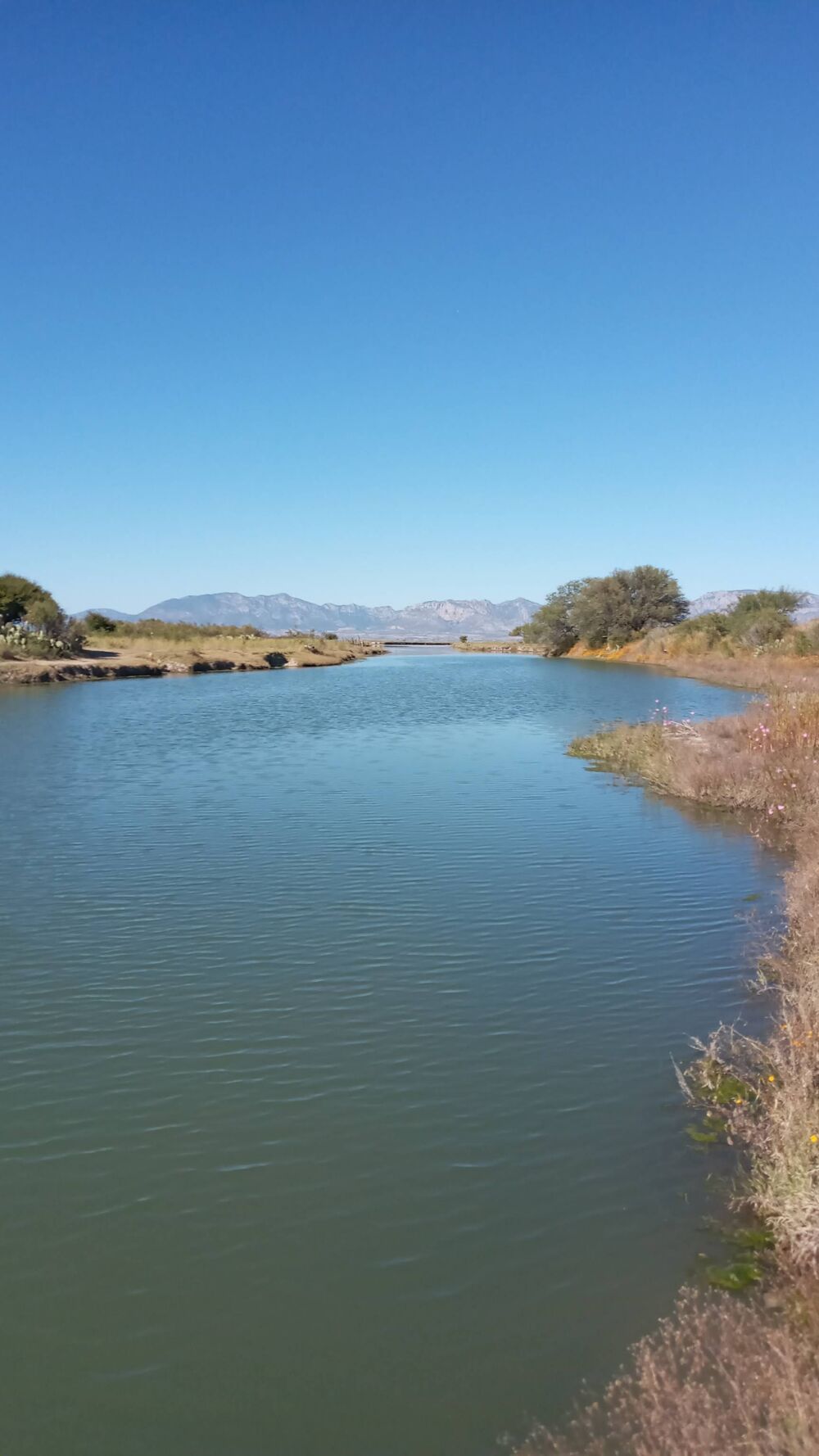 Laguna de Santiaguillo